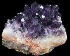 Purple Amethyst Cluster - Alman Mine, Turkey #55353-1
